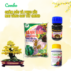 Combo chăm sóc và phục hồi mai Tết (Mini) - Tại CH Đà Nẵng