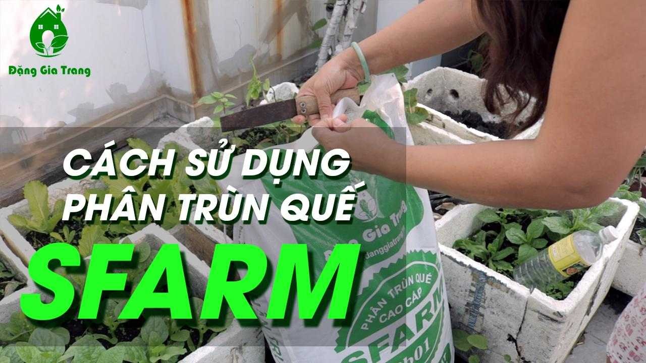 Cách sử dụng phân trùn quế SFARM hiệu quả trên các loại cây trồng
