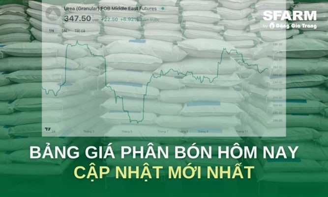 Giá phân bón hôm nay ngày 27/05/2025 mới nhất – Cập nhật liên tục