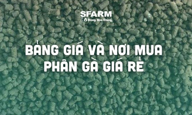 Bảng giá phân gà giá rẻ, nơi mua phân gà giá rẻ uy tín chất lượng