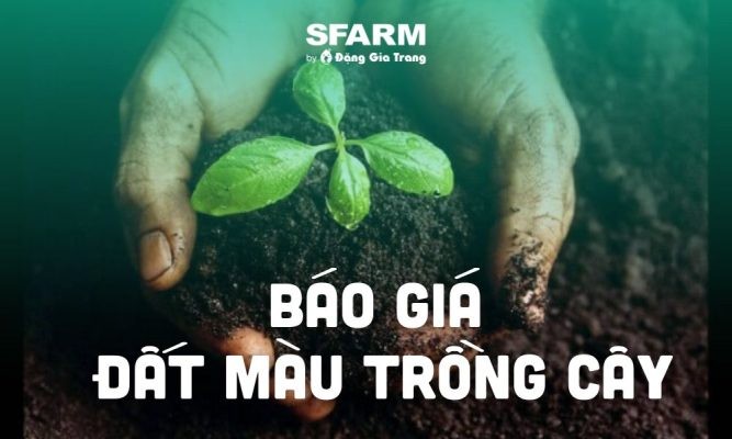 Báo giá đất màu trồng cây mới nhất 2024, cập nhật hôm nay
