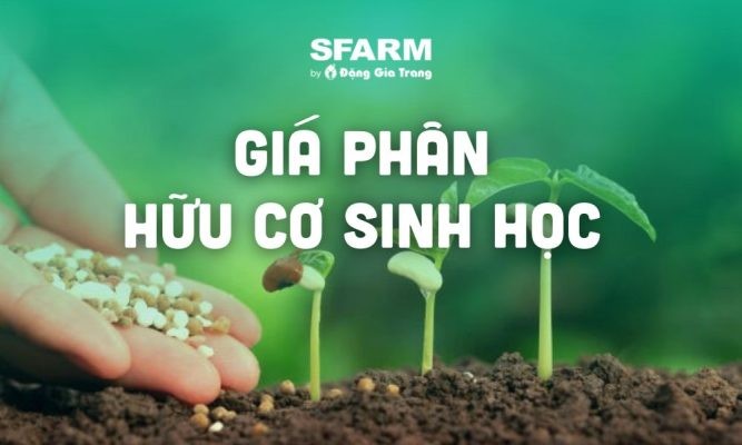 Báo giá phân hữu cơ sinh học tại SFARM, thị trường hôm nay, mới nhất