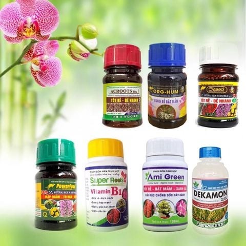 Sau khi lan ra hoa cần được cung cấp dinh dưỡng từ những loại phân bón nào để được phục hồi nhanh chóng?