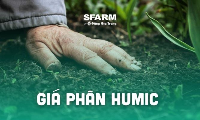 Giá phân humic mới nhất 2024 – Cập nhật hôm nay