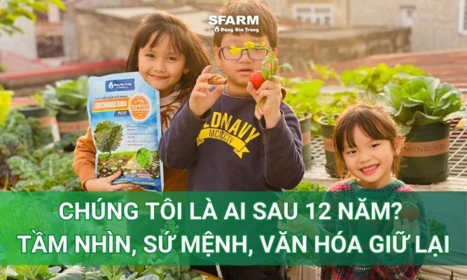 Chúng tôi là ai sau 12 năm? – Tầm nhìn, sứ mệnh, văn hóa giữ lại