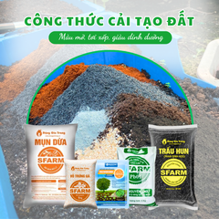 Combo cải tạo đất tơi xốp, giàu dinh dưỡng - Tại CH TP. HCM
