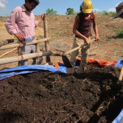 4 LOẠI PHÂN CHUỒNG, CÁCH Ủ VÀ SỬ DỤNG TỐI ƯU CHO CÂY TRỒNG