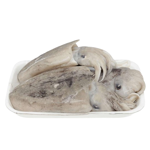 Mực Nang Đông Lạnh Size 8–10 Con/Kg