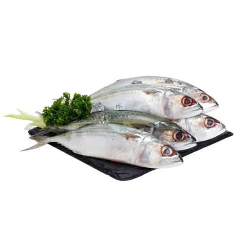  Cá Bạc Má Tươi Size 7–8 Con/Kg