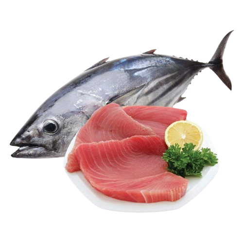 Cá Ngừ Tươi Nguyên Con Size 0,7–1 Kg/Con