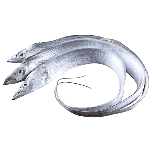 Cá Hố Tươi Size 300–500gr/Con