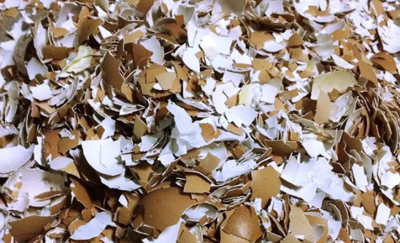 Bí quyết bổ sung canxi tự nhiên cho đất trồng