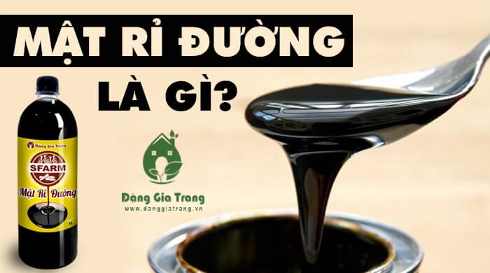 Mật rỉ đường là gì? Những ứng dụng của mật rỉ đường