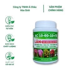 Phân bón lá AC NPK 10-60-10+TE kích hoa, kích nụ cho mai, lan, hoa giấy chuyên gia tạo mầm hoa - Lọ 100 gram