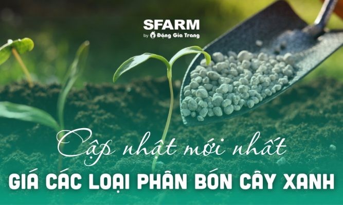 Bảng giá các loại phân bón cây xanh hôm nay, cập nhật năm 2024