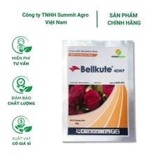 Thuốc trừ bệnh BELLKUTE 40WP đặc trị bệnh phấn trắng trên hoa hồng - Gói 20 gram