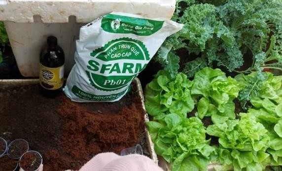 Cách làm đất trồng rau tại vườn nhà chuẩn nhất