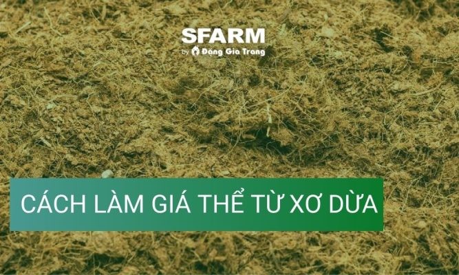 Cách làm giá thể từ xơ dừa đơn giản