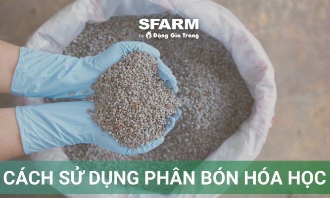 Cách sử dụng phân bón hóa học chuẩn khoa học, không lãng phí, an toàn