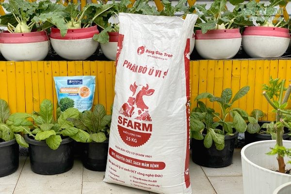 6 CÁCH Ủ PHÂN BÒ NHANH HOAI MỤC – GIÀU DINH DƯỠNG