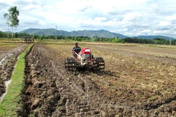 Hướng dẫn cách xử lý đất trước khi trồng rau sạch