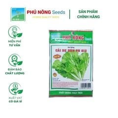 Hạt giống Cải bẹ dún PN 812 - Gói 10 gram