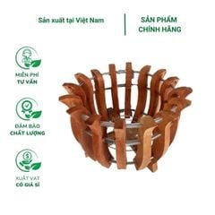 Chậu trồng lan hình lọng gỗ nhãn già - HN