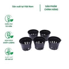 Chậu nhựa cứng trồng lan