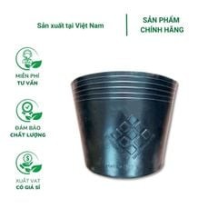 Chậu nhựa mềm (túi bầu ươm cây) trồng cây LD (ĐN)