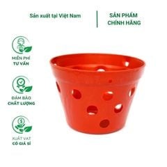Chậu nhựa trồng lan giả đất nung