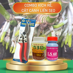 Bộ ba kích rễ - liền sẹo - cắt cành cho cây kiểng - Tại CH TP. HCM