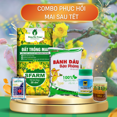 Combo chăm sóc mai sau Tết – Phục hồi toàn diện, tăng sức đề kháng