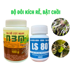 Bộ kích LS80 + N3M - Đâm chồi, ra lá, dưỡng cây cảnh và bonsai