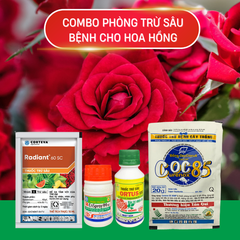 Thuốc phòng bệnh hoa hồng – Combo 4 món – Sạch bệnh, hoa bền màu