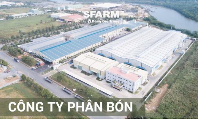 Công ty phân bón nào uy tín? Cách lựa chọn công ty phân bón uy tín, chất lượng