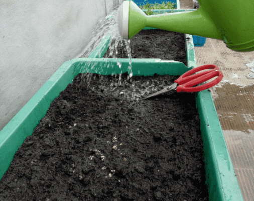 Đất SFARM có tơi xốp và thoát nước tốt không?