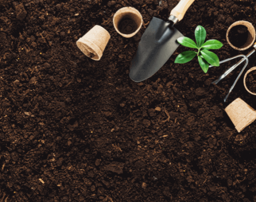 Đất sạch SFARM phù hợp với cây gì?