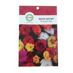 Hạt giống hoa Mười Giờ Mỹ FVN - Gói 10 hạt