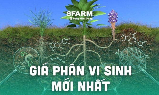 Giá phân vi sinh mới nhất 2024 – Cập nhật liên tục