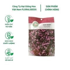 Hạt giống hoa baby FVN - Gói 5 hạt