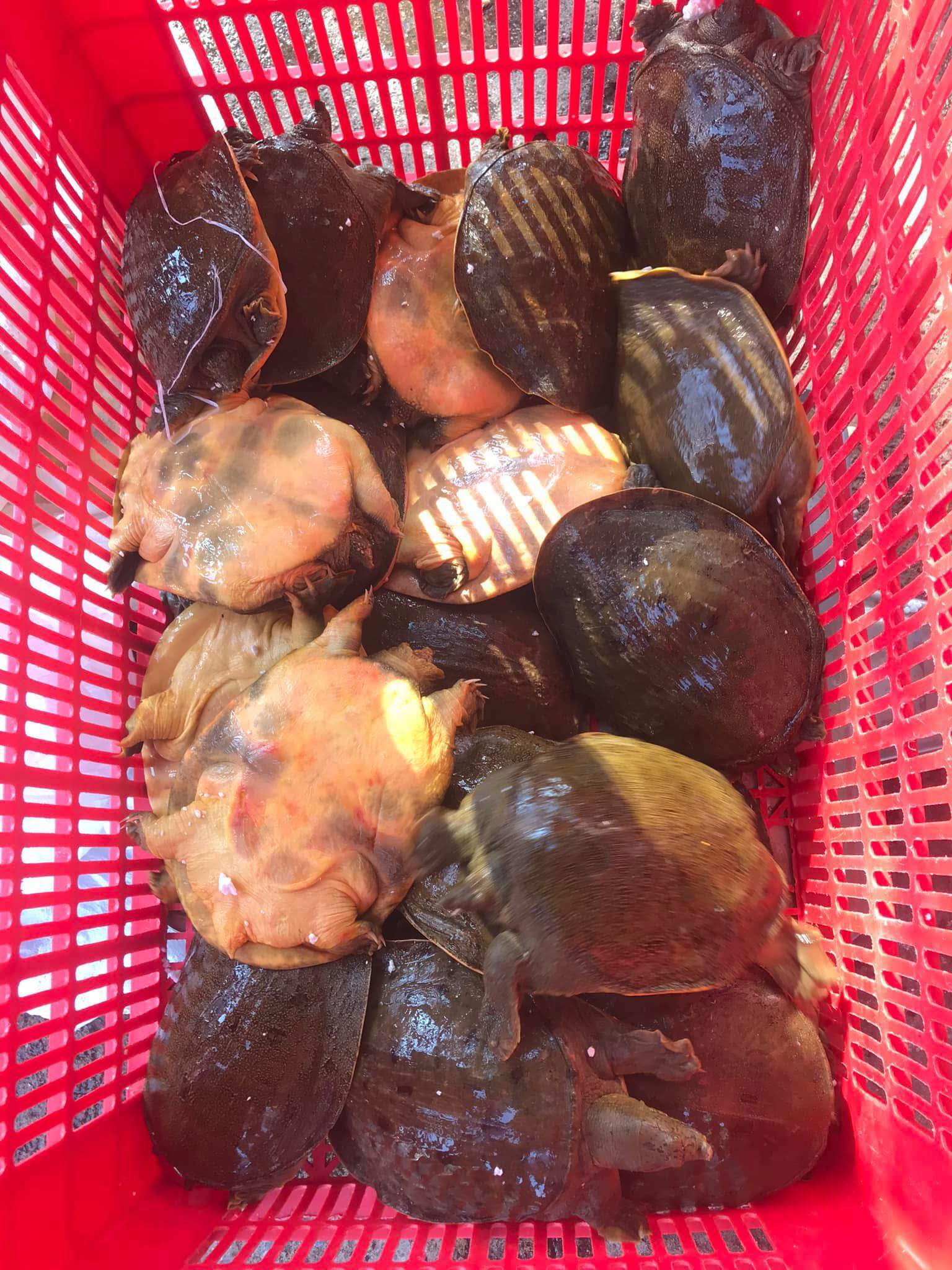 ba ba thịt sống tuyển chọn tại VIFOOD