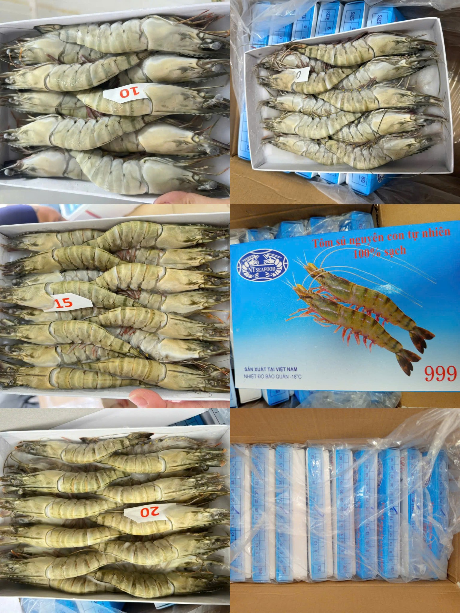 tôm sú nguyên con đông lạnh size 40-50 con/kg