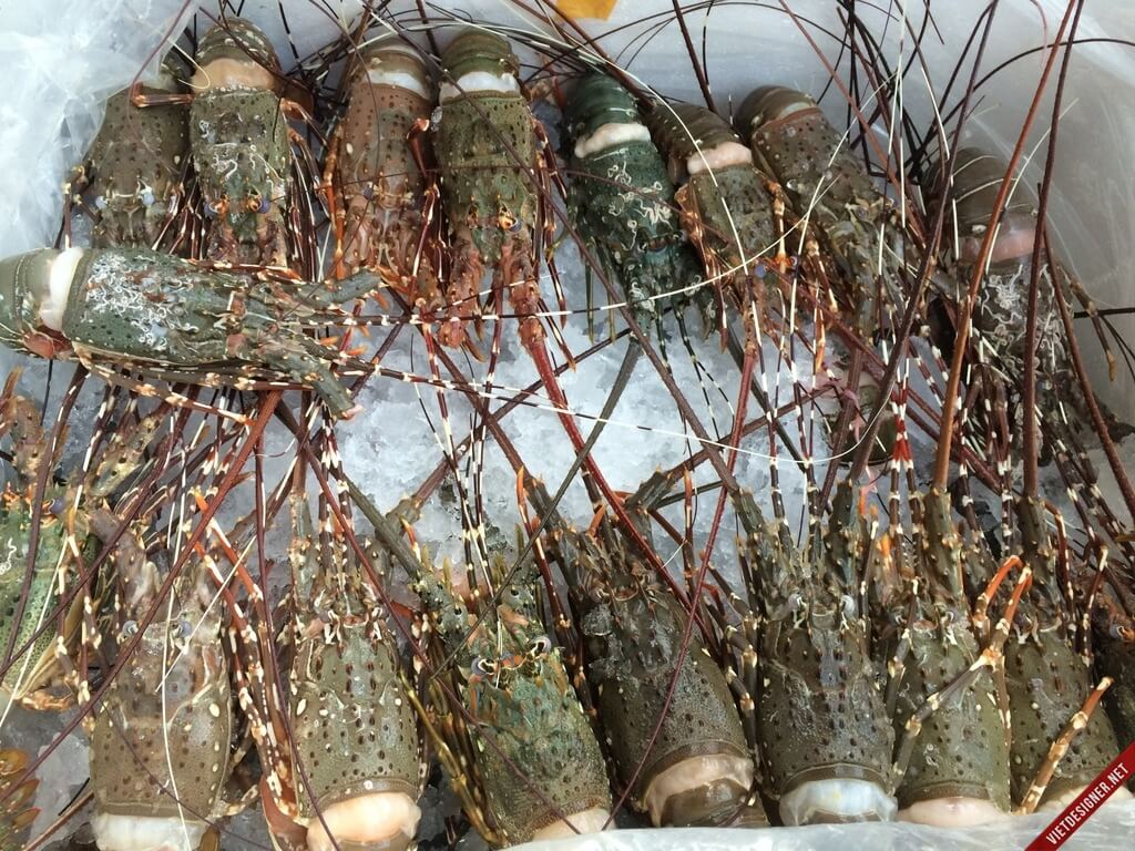 thịt tôm hùm tre sau rã đông