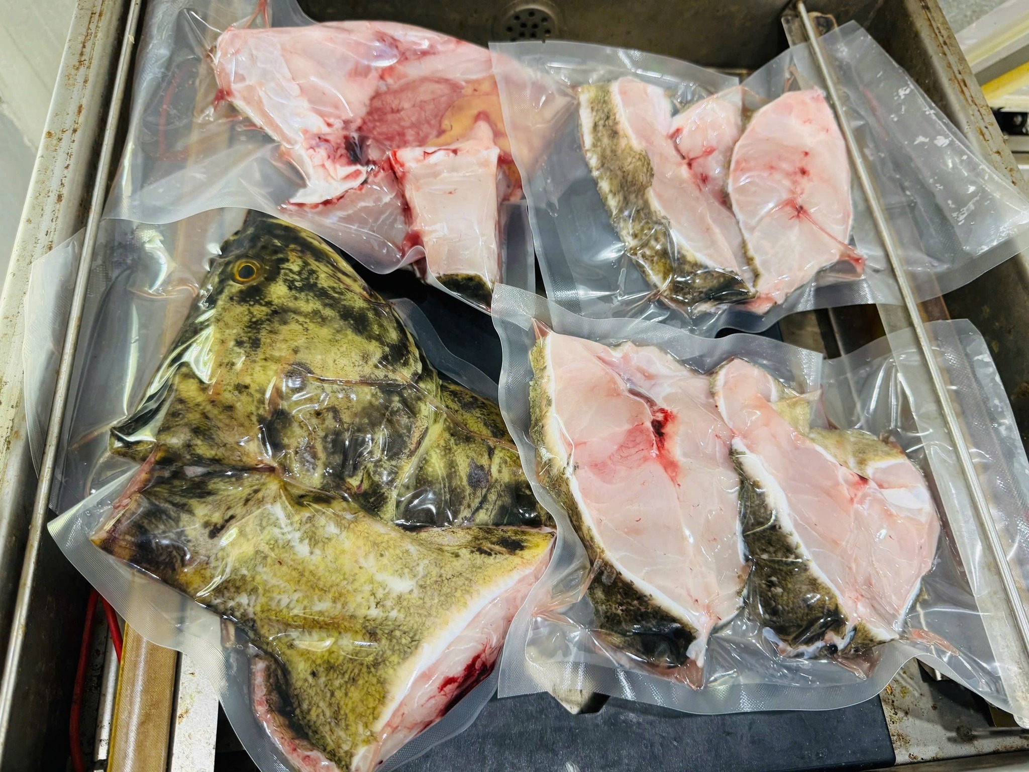 cá mú cọp làm sạch size 2,5-3 kg/con