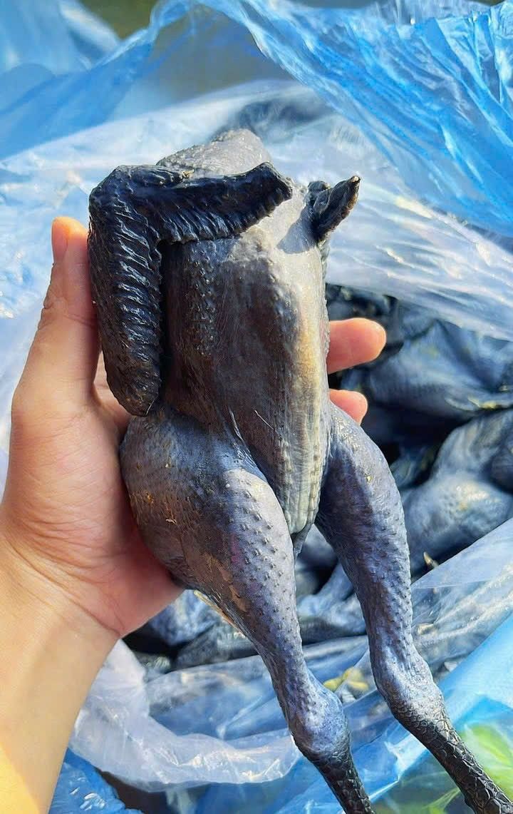 gà ác sơ chế làm sạch không nội tạng