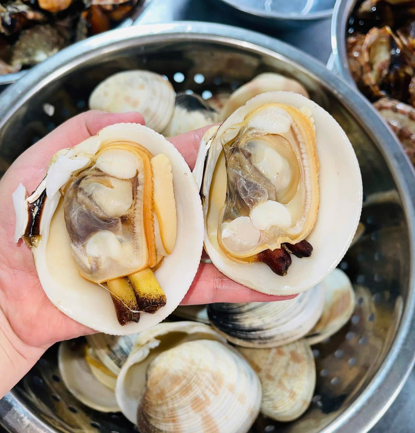 món ngon từ sò tộ sò chén