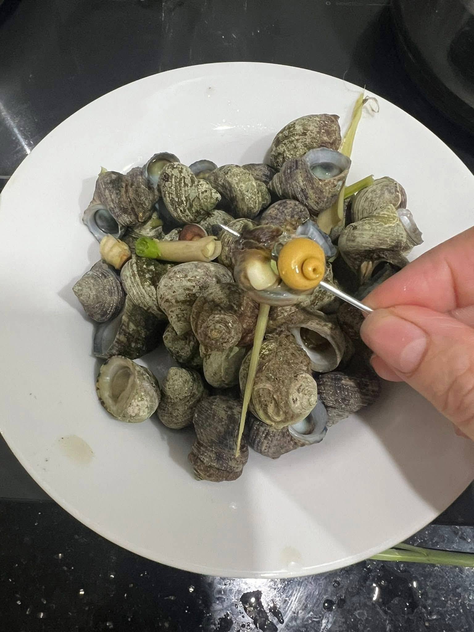 món ngon từ ốc mặt trăng