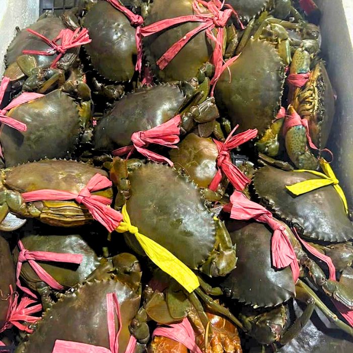 cua 2 da giao sỉ vifood