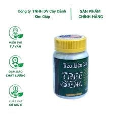 Keo liền da cây - liền sẹo - thuốc hỗ trợ chiết cành Tree Seal - Mỹ - Chai 100 gram