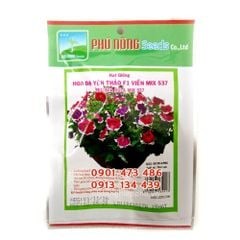 Hạt giống Hoa Dạ Yên Thảo F1 Viền Mix PN - Gói 10 hạt
